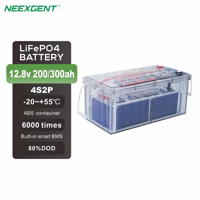 Neexgentsolar 12.8v 200ah 300ah Transparent Lifepo4 Battery Box with Daly BMS