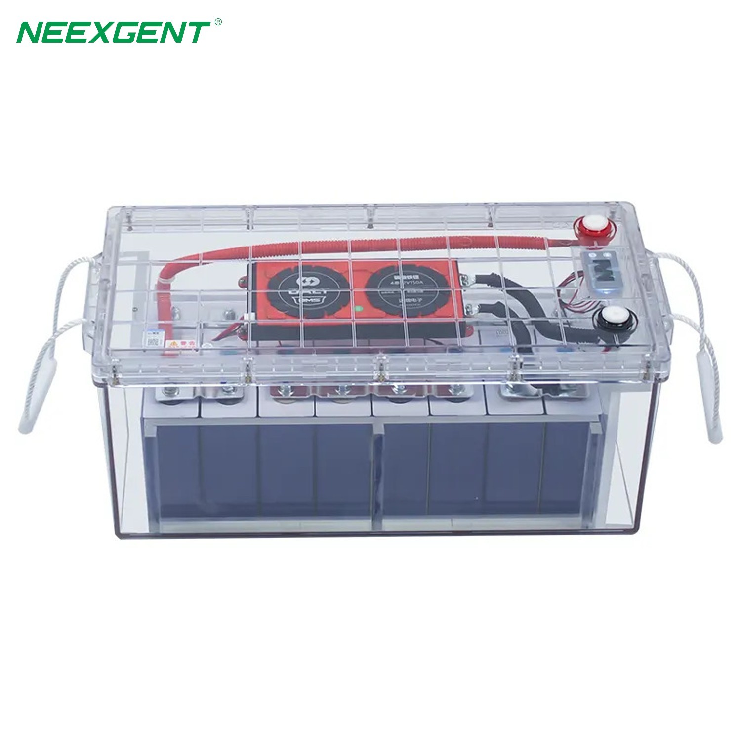Neexgentsolar 12.8v 200ah 300ah Transparent Lifepo4 Battery Box with Daly BMS