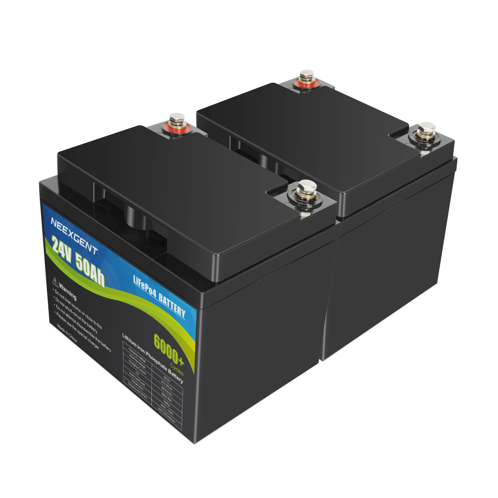OEM 12v 100ah Rechargeable Lifepo4 Battery Kit with Built-in BMS