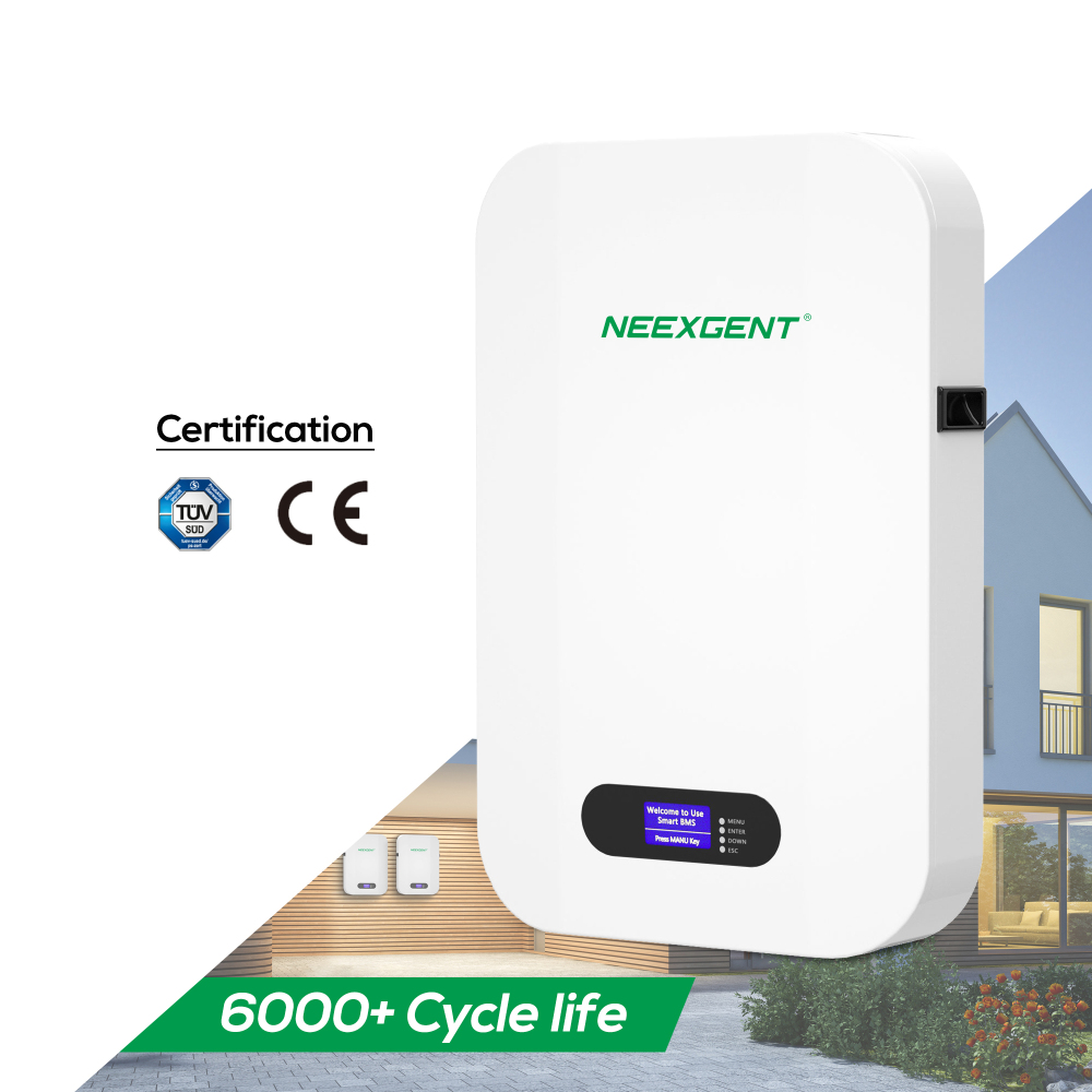 Neexgentsolar 51.2v 100ah 200ah Slim Wall-mounted Lifepo4 Battery with Smart APP Control