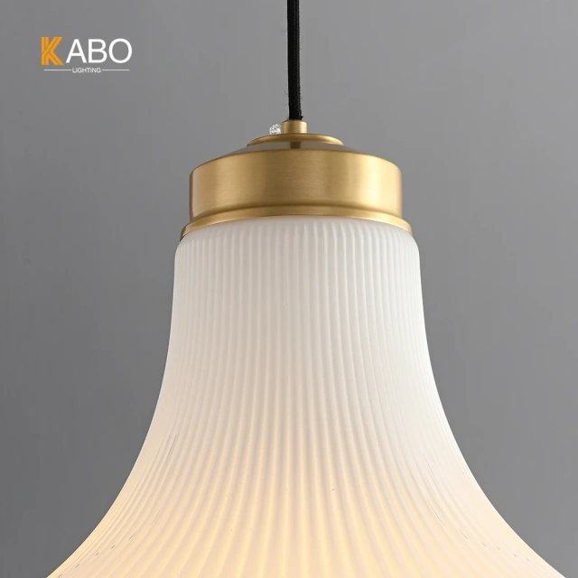 Home Decorative Pendant Lights for Hanging Lampshade lamps Ceiling LED Lamps