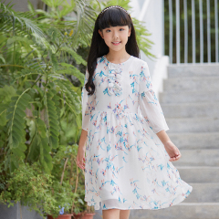 New Spring and Summer Season Dress for Young Children