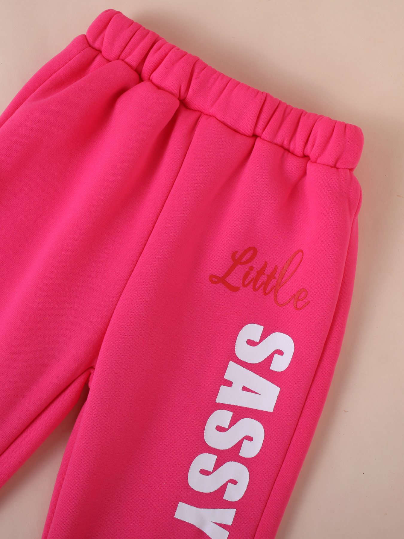 Children's Pink “Little SASSY” Letter - Printed Sweatshirt and Pants Set