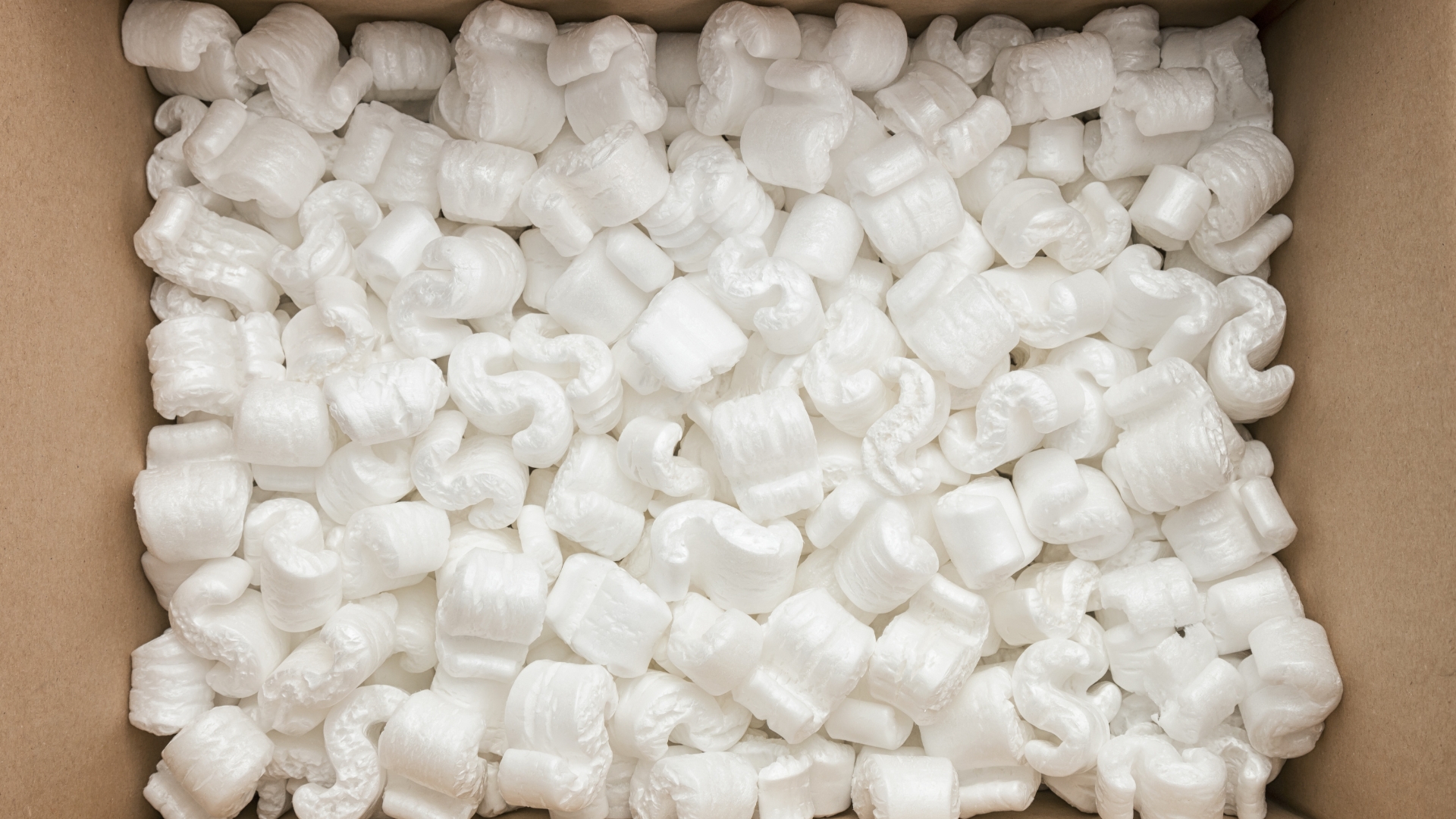 Portable safety case with cushioning foam