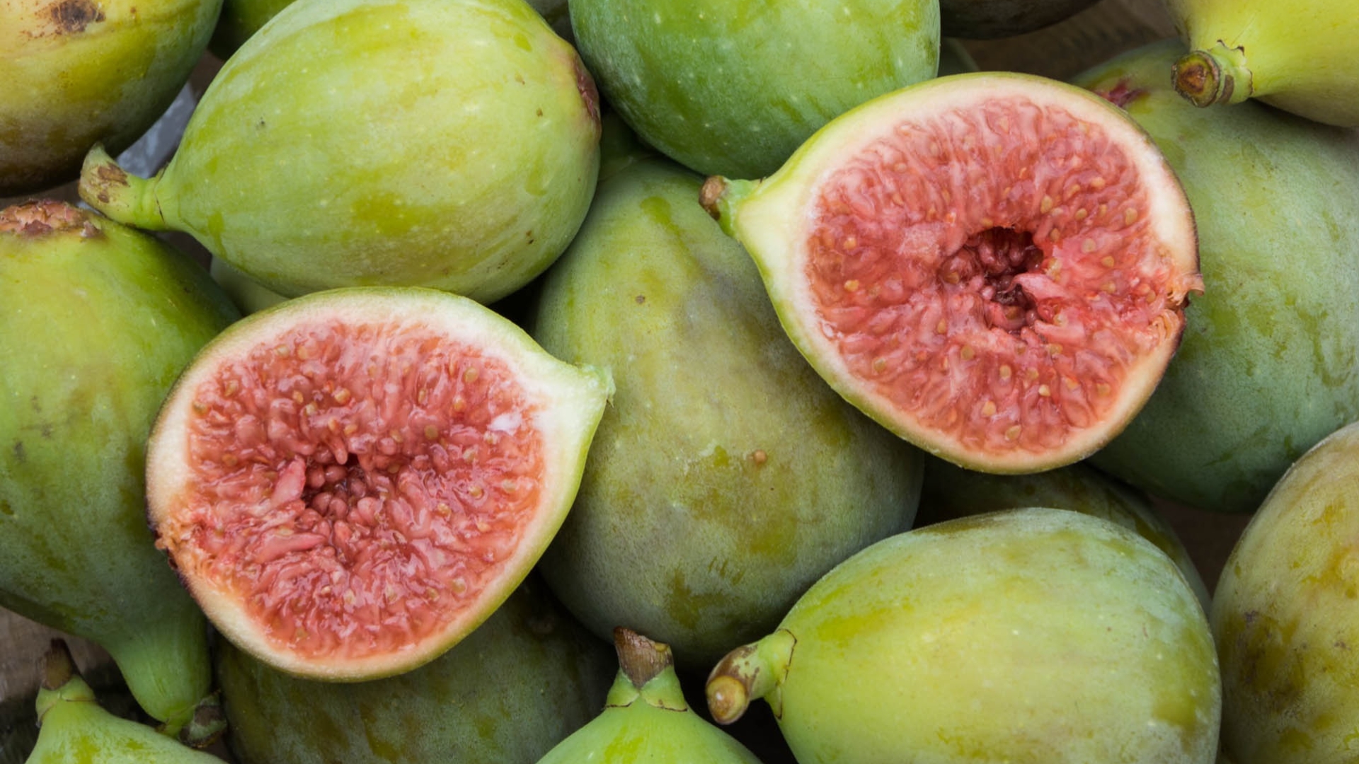 fig
