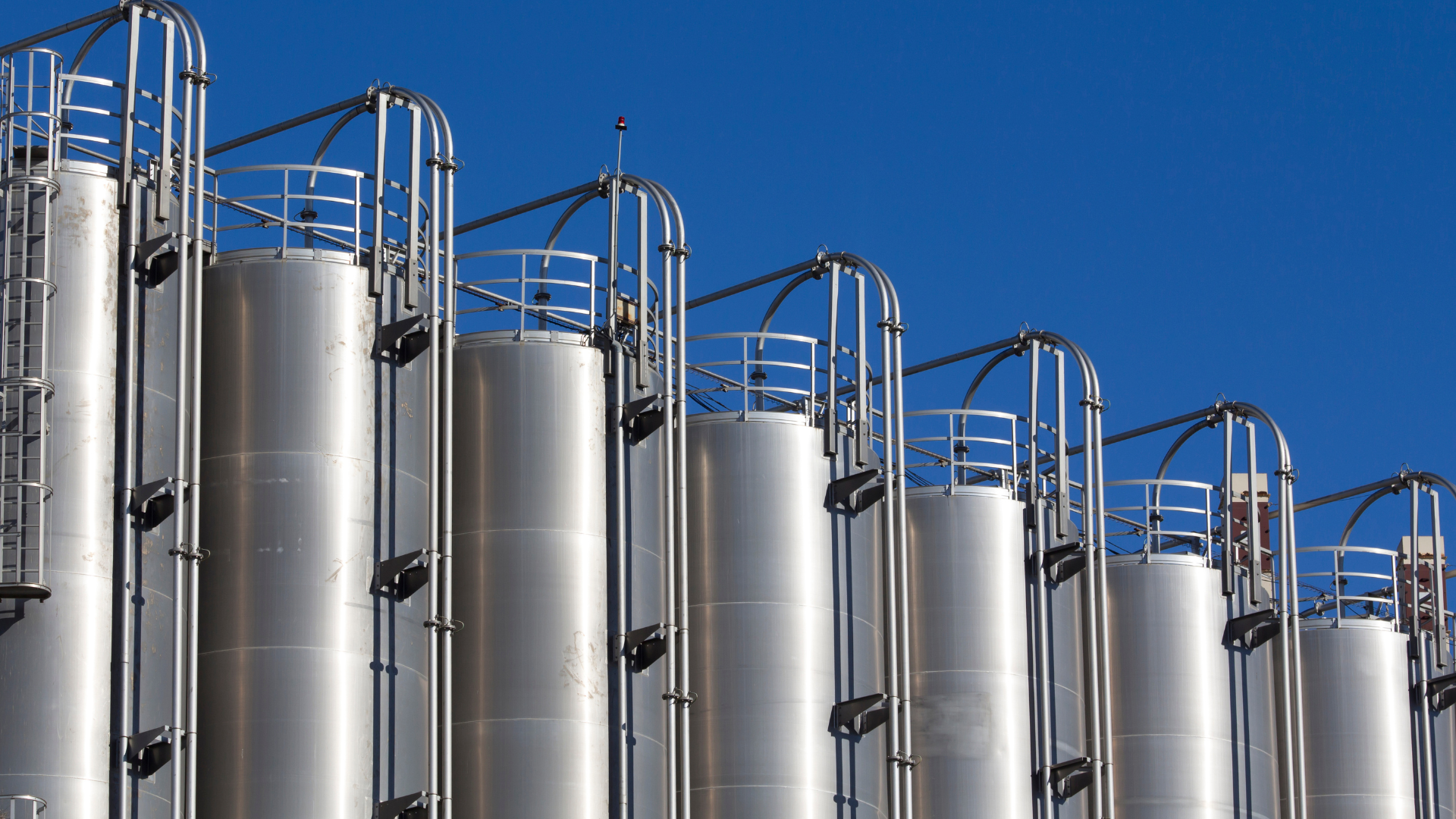 From Laboratory Precision to Culinary Art