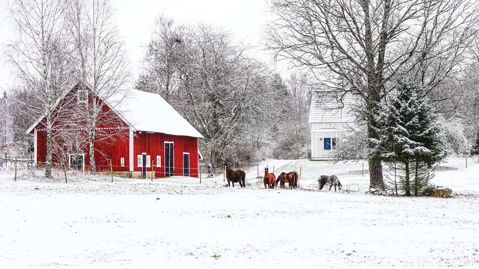 Store a Nitrous Oxide Tank in Cold Weather