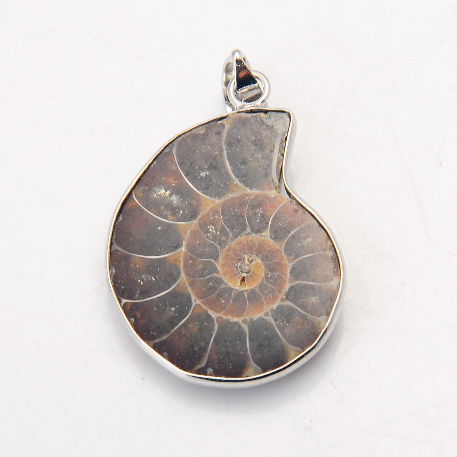 Handmade Silver Wrapped natural Conch Ammonite Pendant