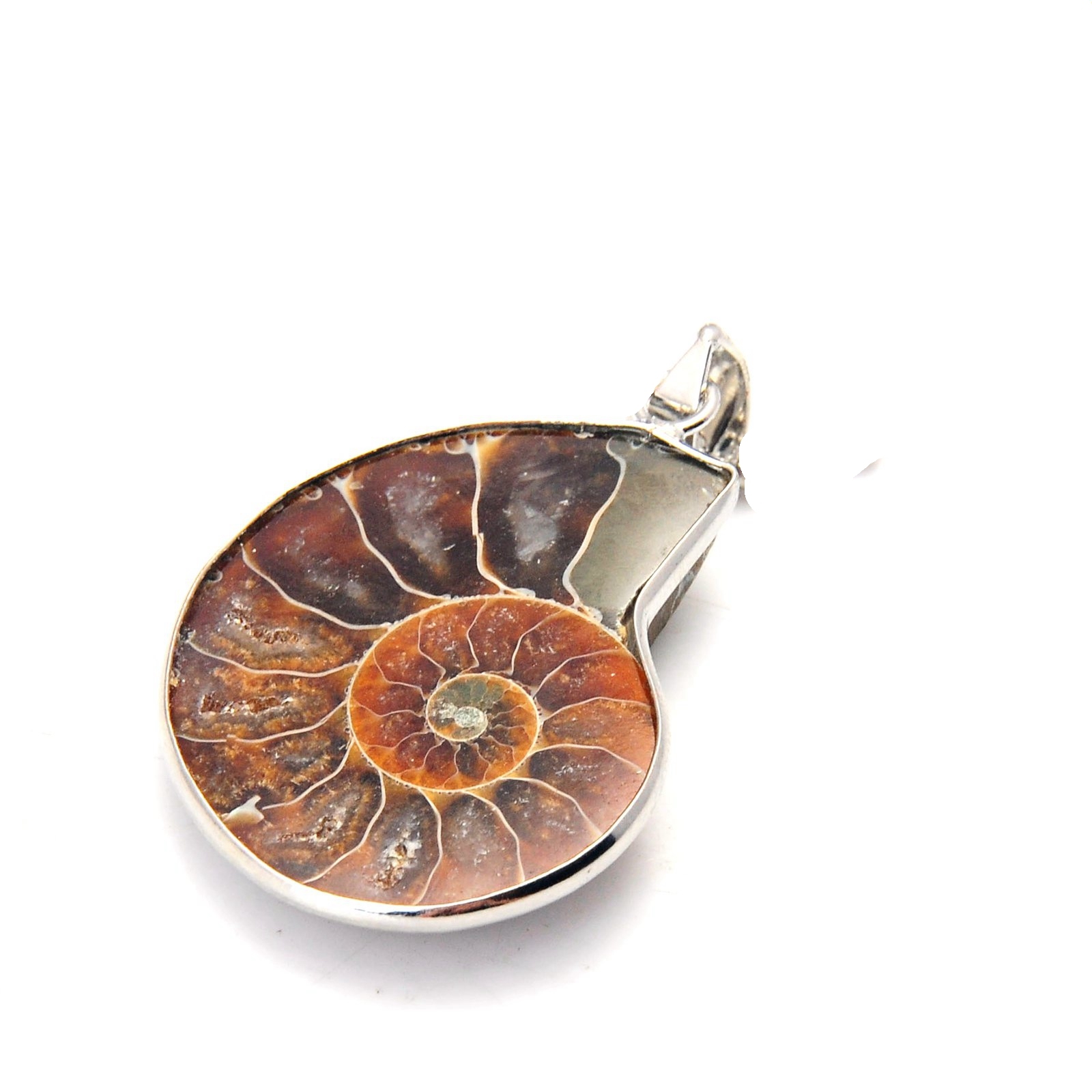 Handmade Silver Wrapped natural Conch Ammonite Pendant