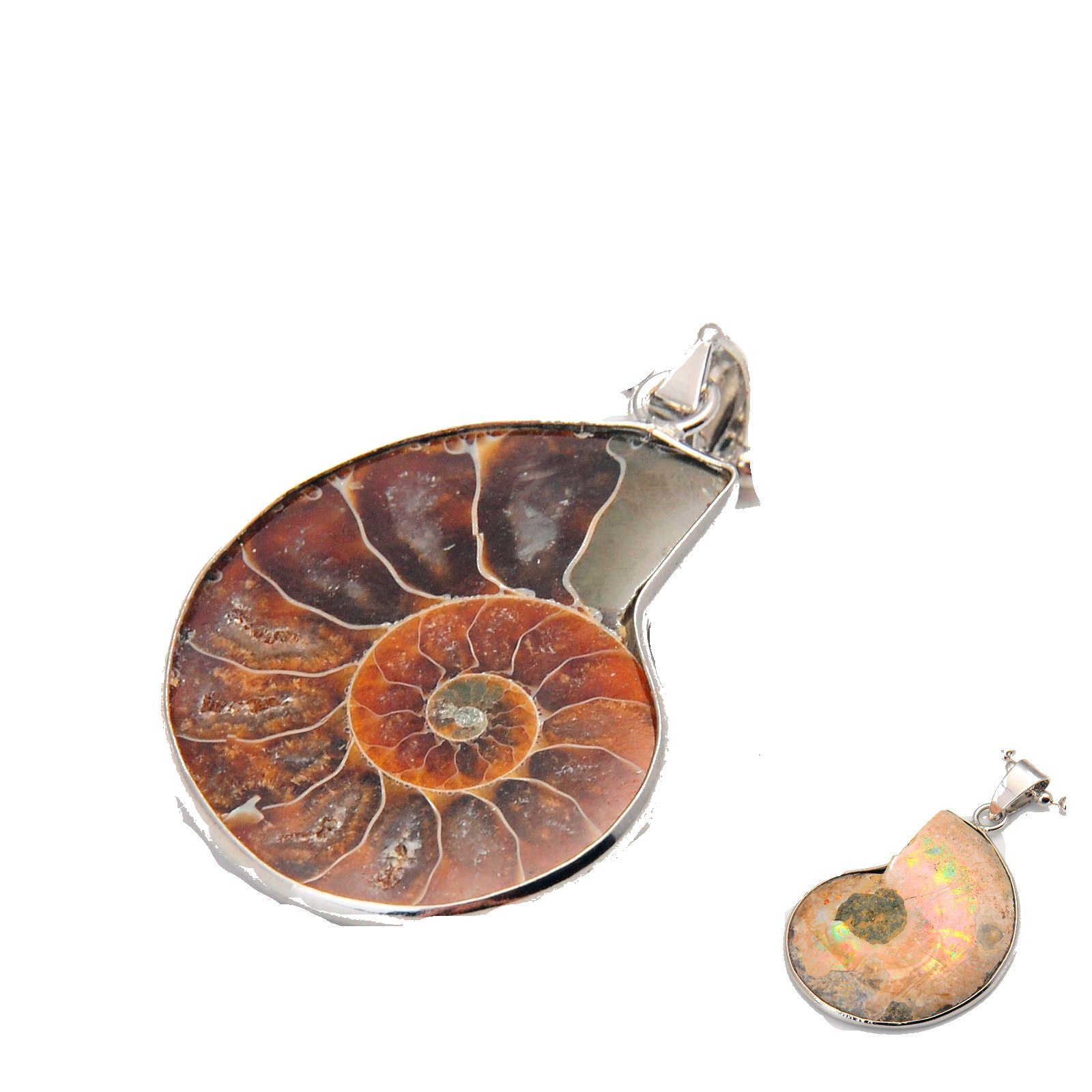 Handmade Silver Wrapped natural Conch Ammonite Pendant