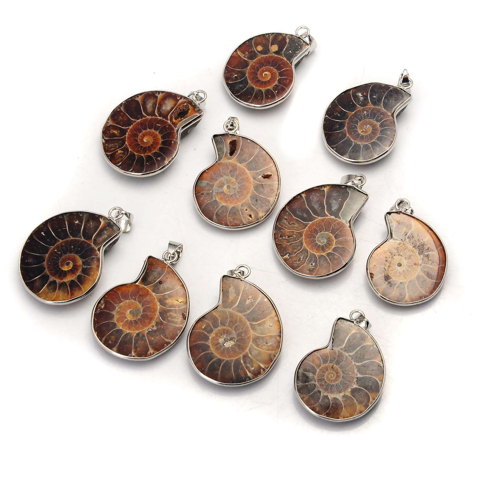 Handmade Silver Wrapped natural Conch Ammonite Pendant