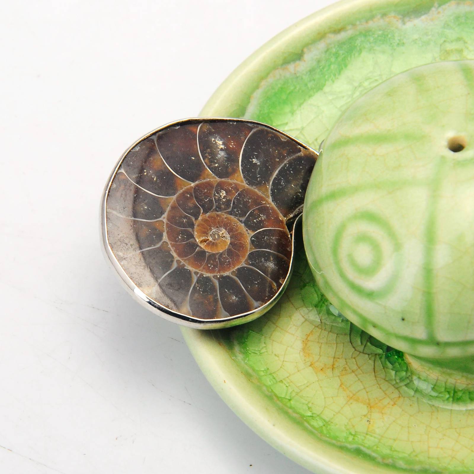 Handmade Silver Wrapped natural Conch Ammonite Pendant