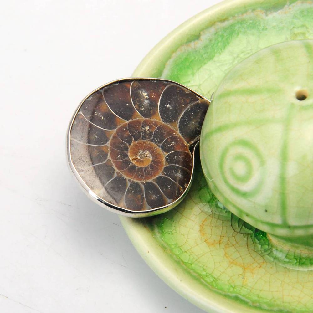 Handmade Silver Wrapped natural Conch Ammonite Pendant