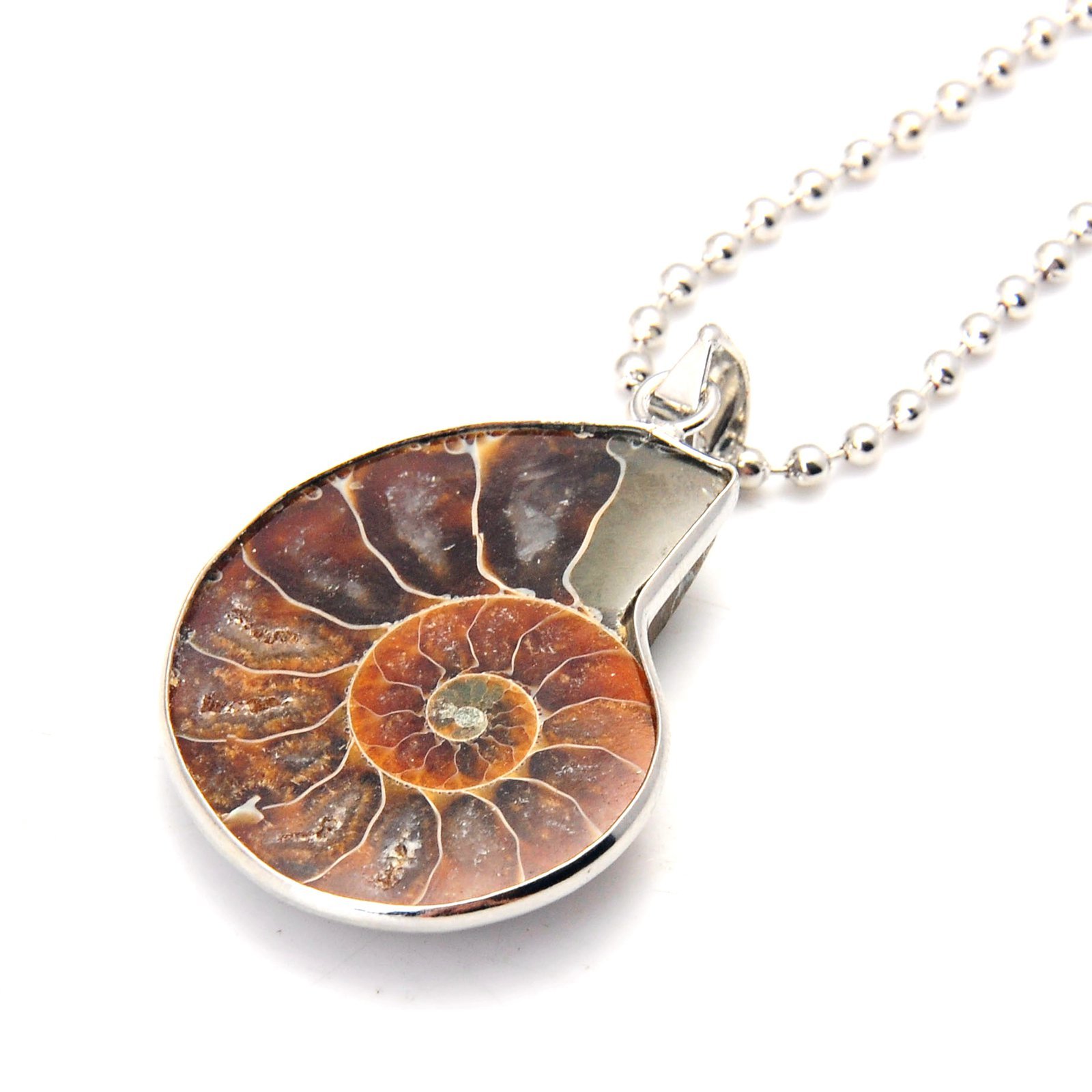 Handmade Silver Wrapped natural Conch Ammonite Pendant