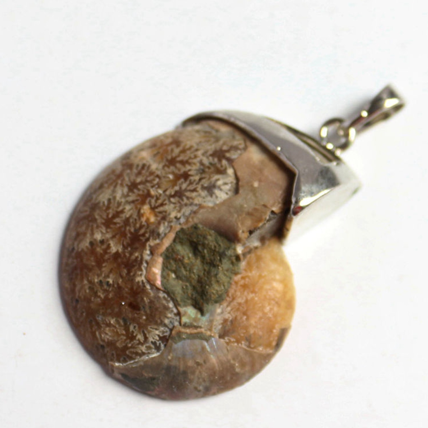 Charm Handmade Natural Conch Ammonite Silver Wrapped Pendant Shell Necklace for Women