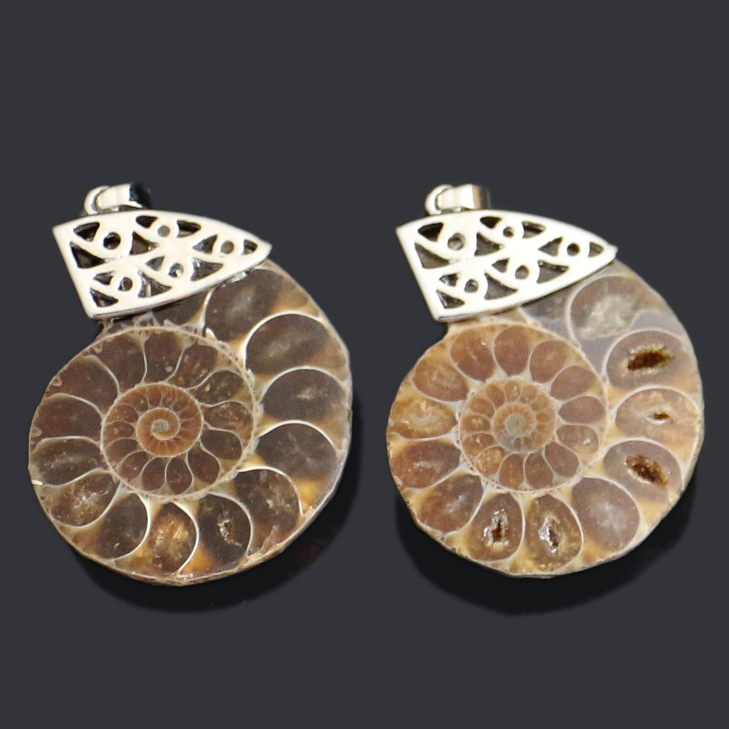 Charm Handmade Natural Conch Ammonite Silver Wrapped Pendant Shell Necklace for Women