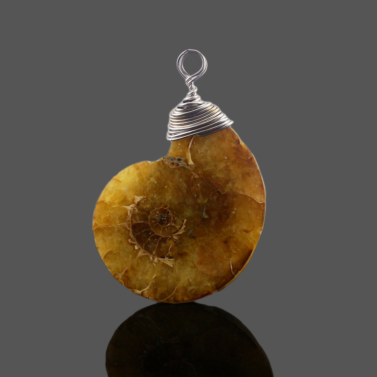 Charm Handmade Natural Conch Ammonite Silver Wrapped Pendant Shell Necklace for Women