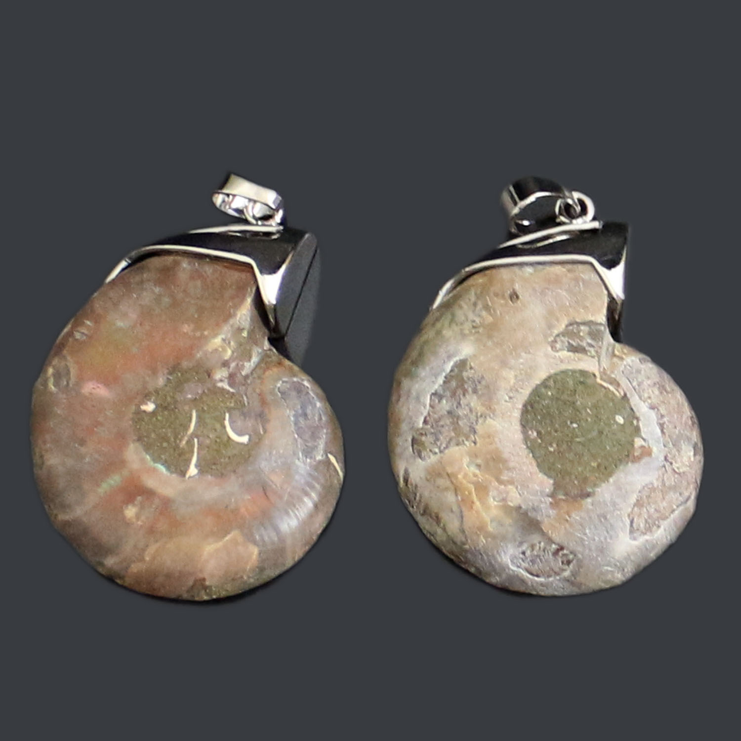 Charm Handmade Natural Conch Ammonite Silver Wrapped Pendant Shell Necklace for Women