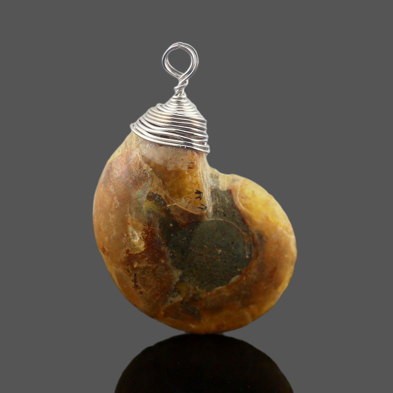 Charm Handmade Natural Conch Ammonite Silver Wrapped Pendant Shell Necklace for Women