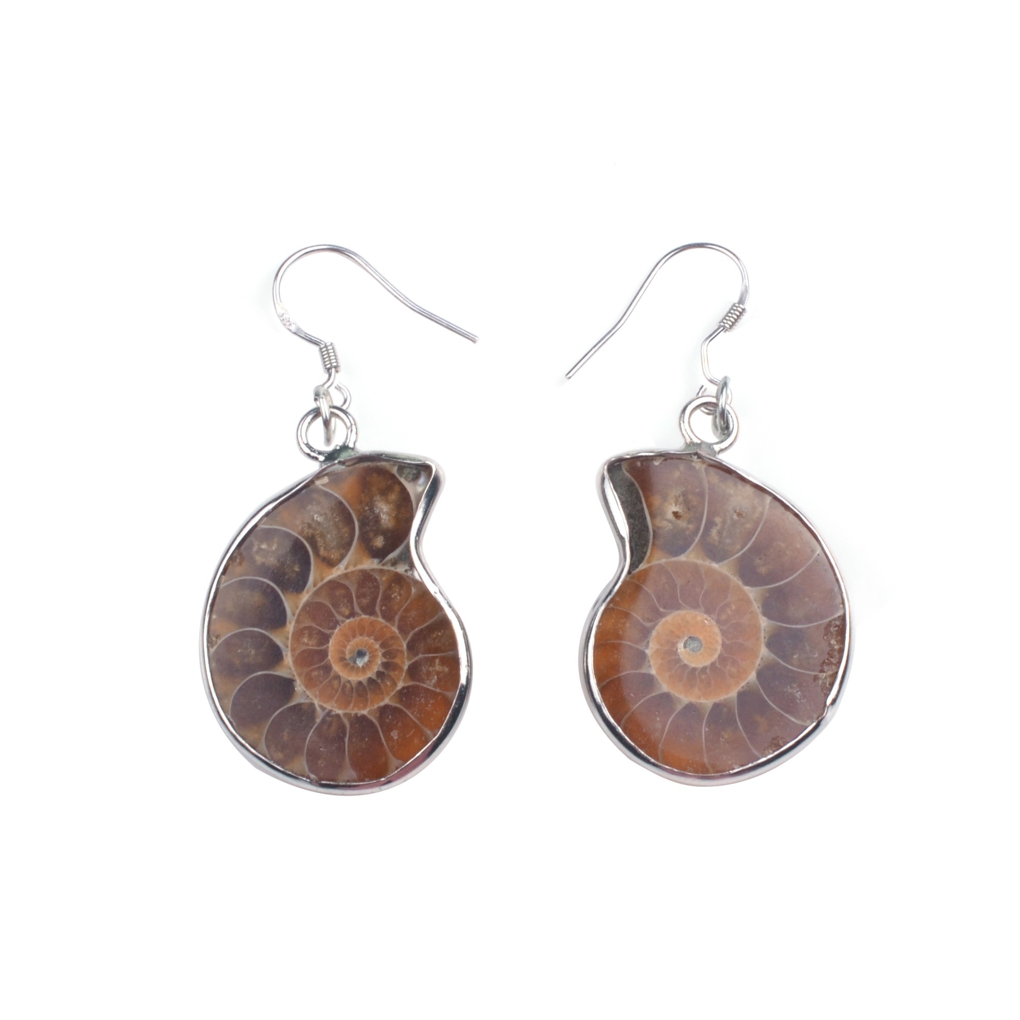 Charm Handmade Natural Conch Ammonite Silver Wrapped Pendant Shell Earrings for Women