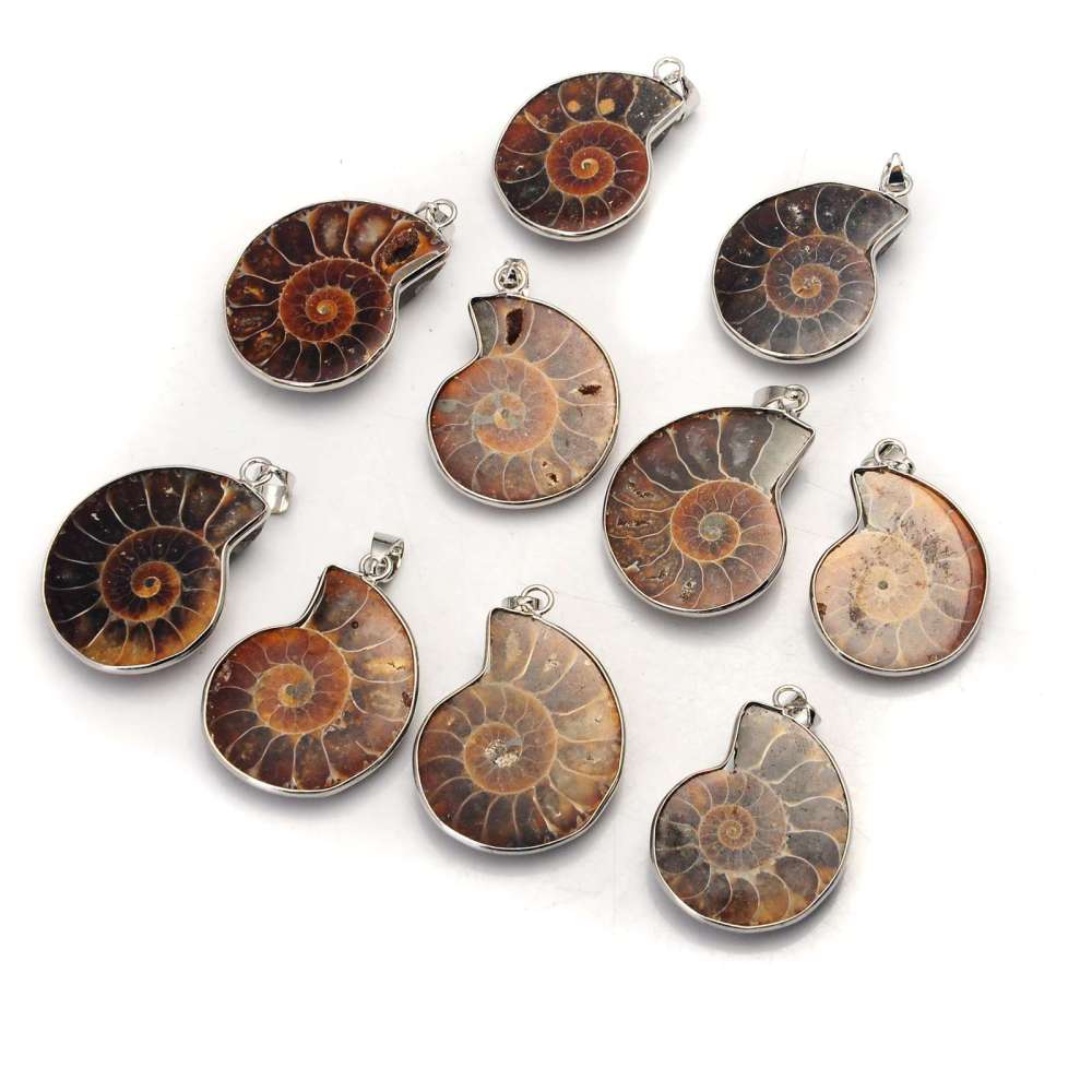 Charm Handmade Natural Conch Ammonite Silver Wrapped Pendant Shell Earrings for Women