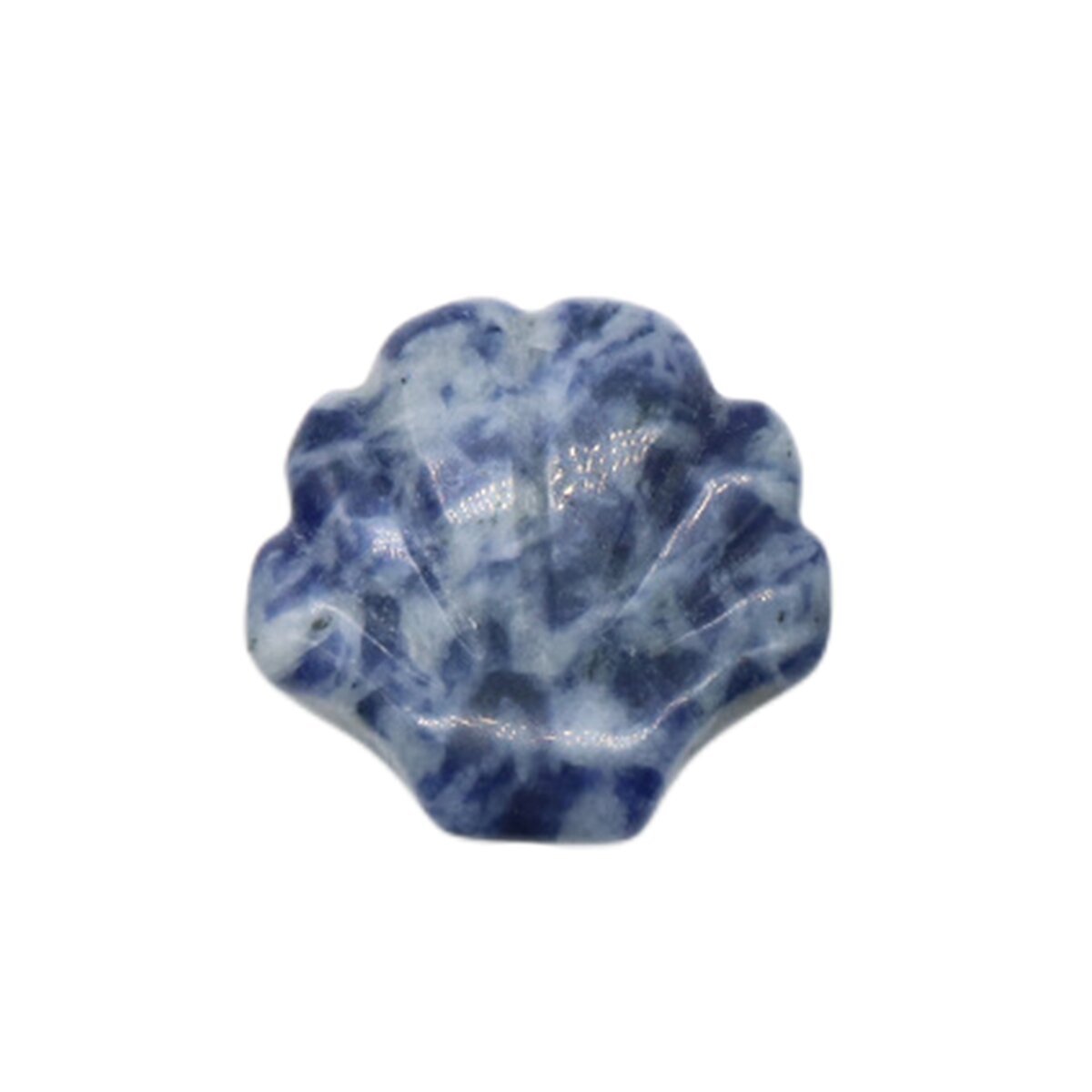 Natural Reiki Healing Gemstone Handmade Carved Shell  DIY Ornament Charms for  Home Decor