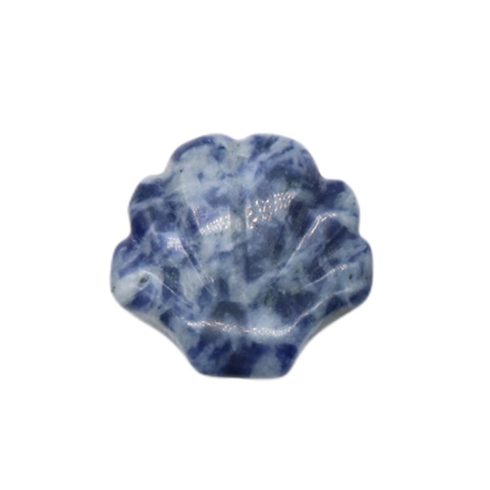 Natural Reiki Healing Gemstone Handmade Carved Shell  DIY Ornament Charms for  Home Decor