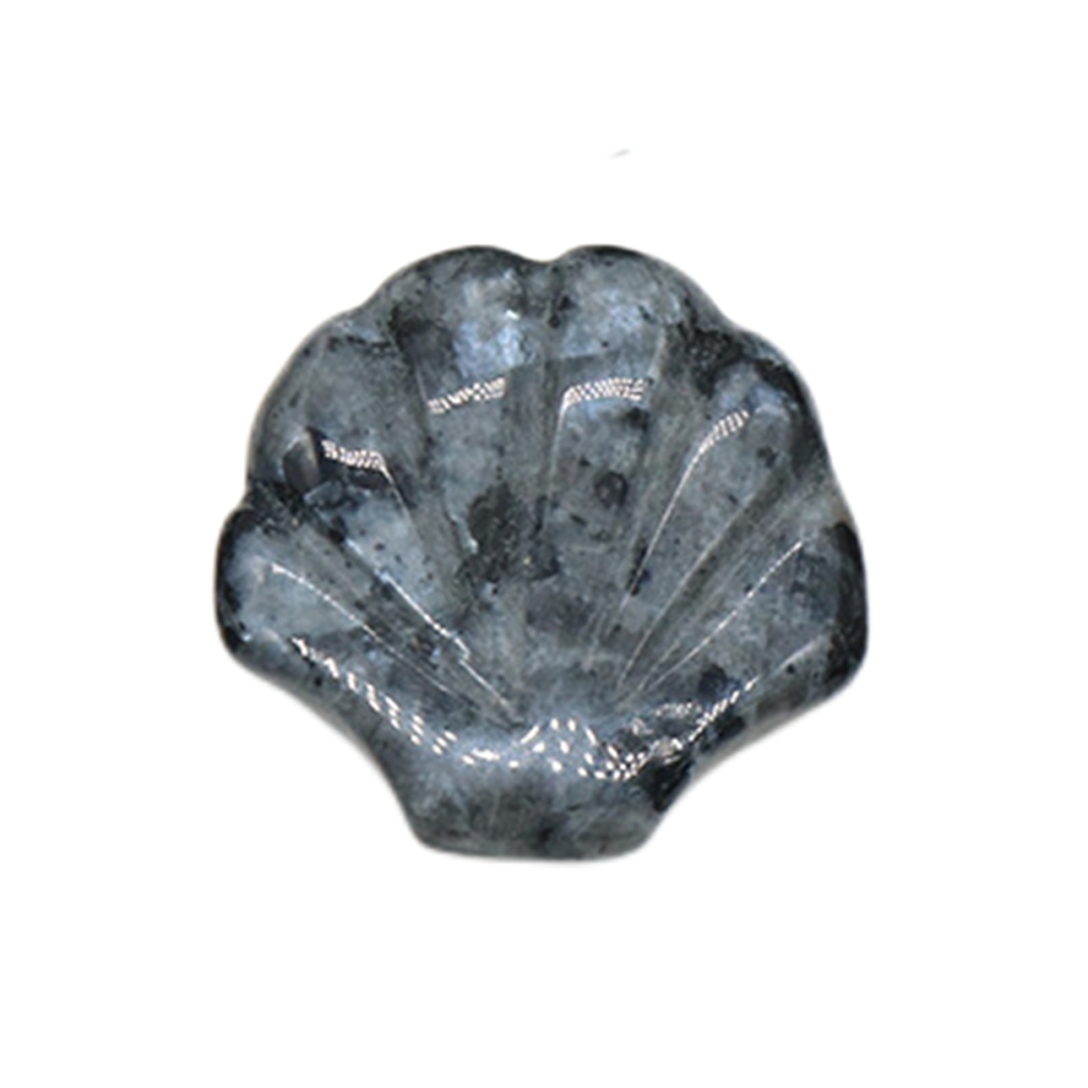 Natural Reiki Healing Gemstone Handmade Carved Shell  DIY Ornament Charms for  Home Decor