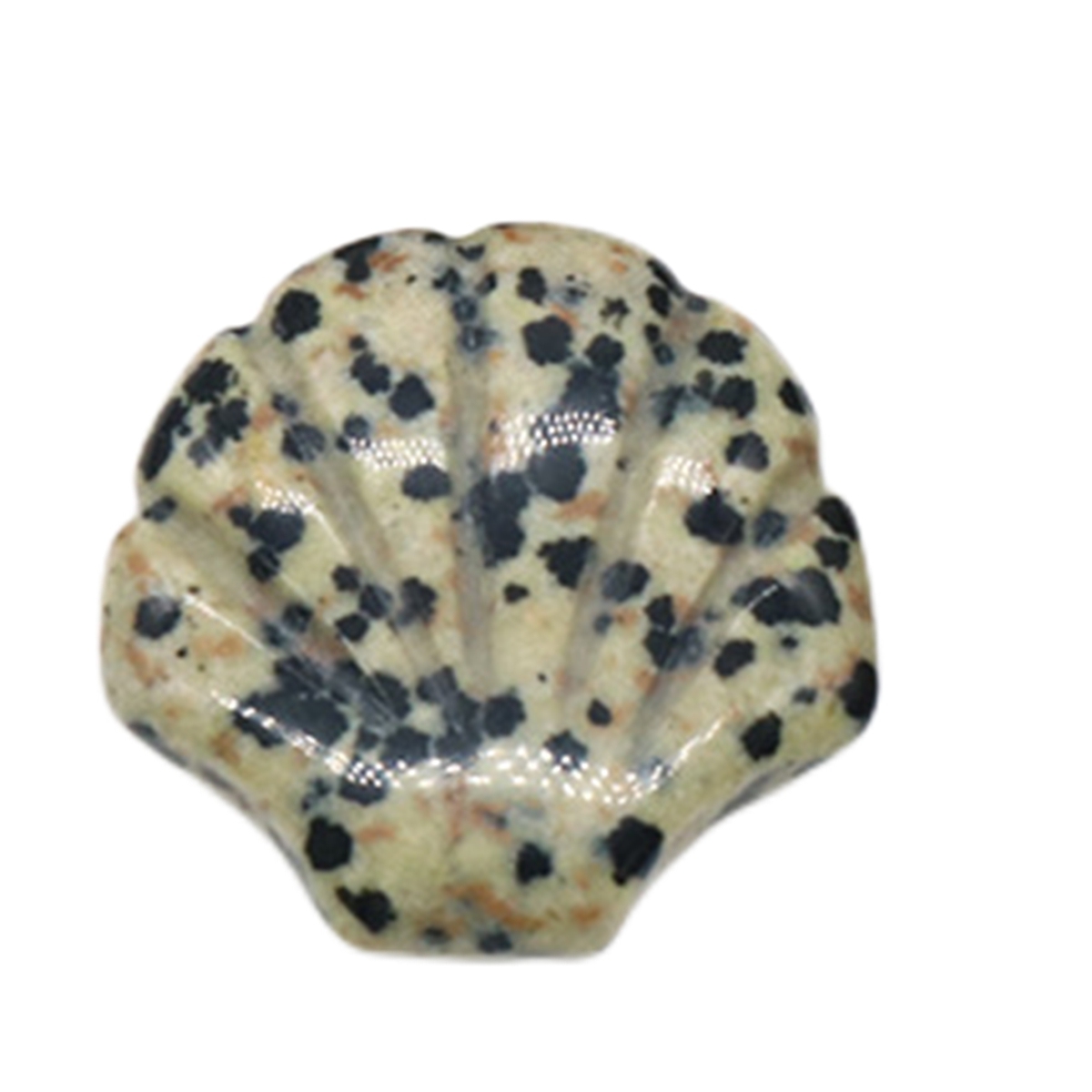Natural Reiki Healing Gemstone Handmade Carved Shell  DIY Ornament Charms for  Home Decor