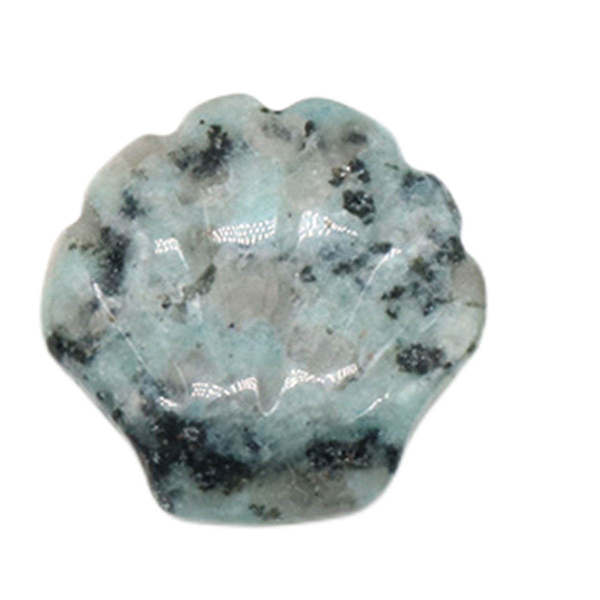 Natural Reiki Healing Gemstone Handmade Carved Shell  DIY Ornament Charms for  Home Decor
