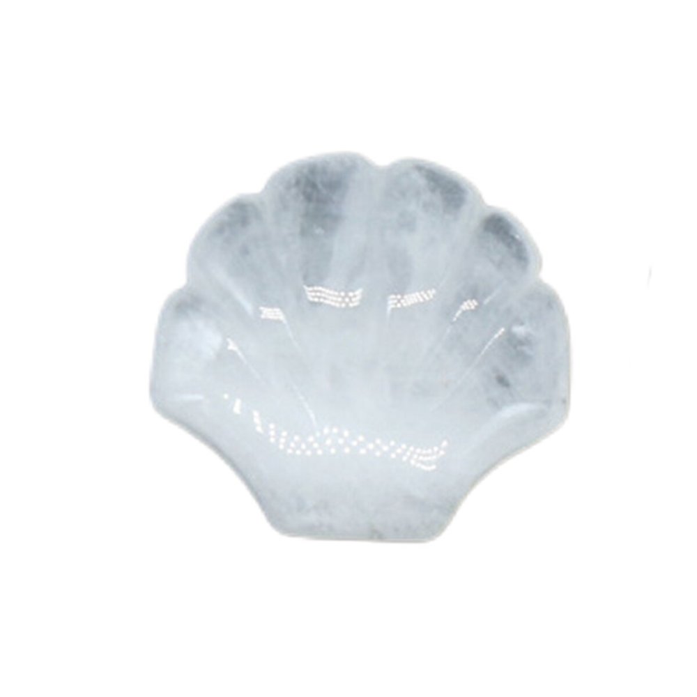 Natural Reiki Healing Gemstone Handmade Carved Shell  DIY Ornament Charms for  Home Decor