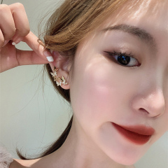 Butterfly Earrings 3