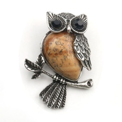 Picture Jasper