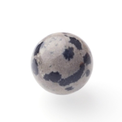 Dalmatian Jasper