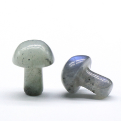 Spoctrolite