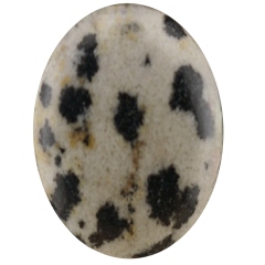 Dalamation Jasper