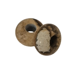 Picture Jasper