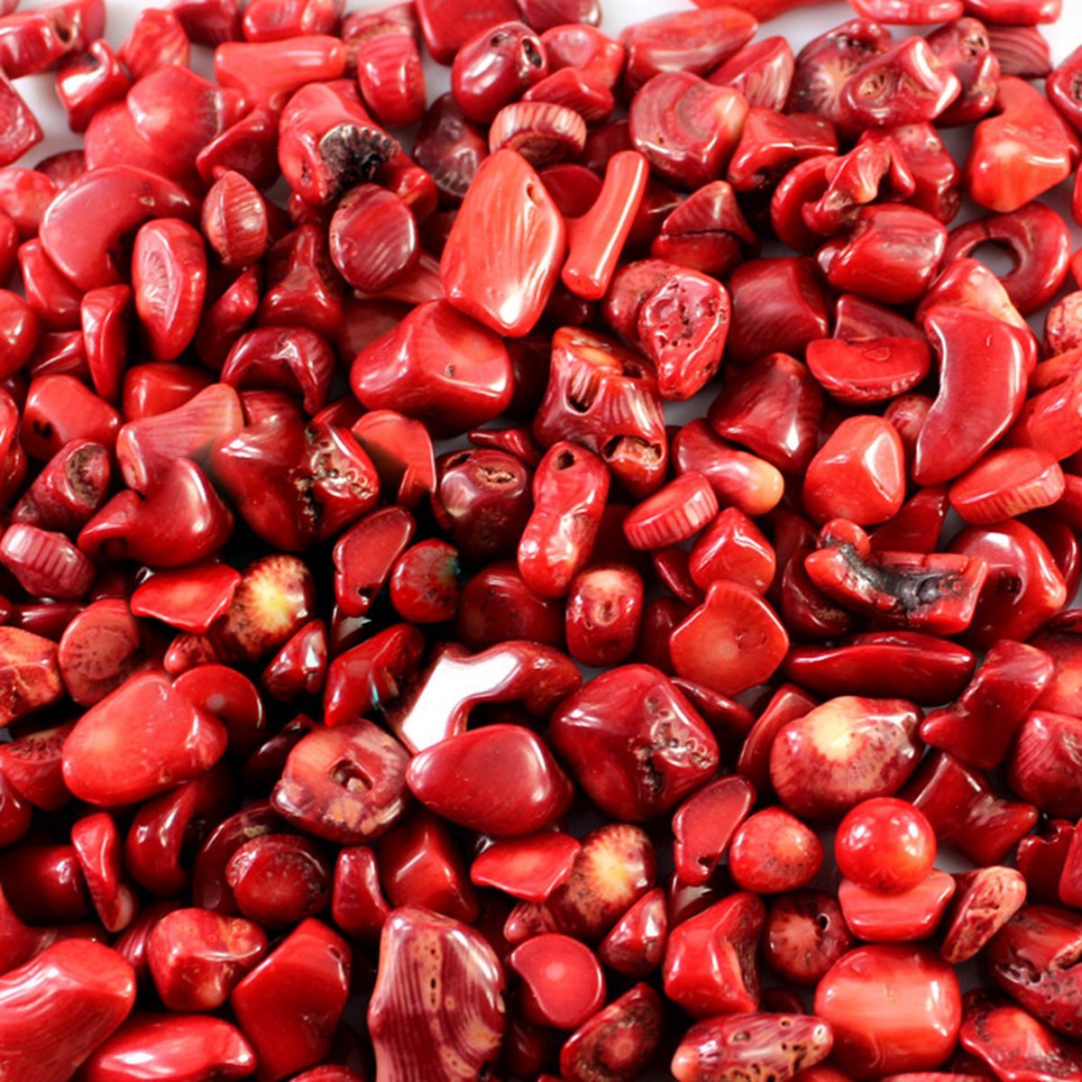 Chip Red Coral Beads for Home Decoration & Decor Making Jewelry 100Gram