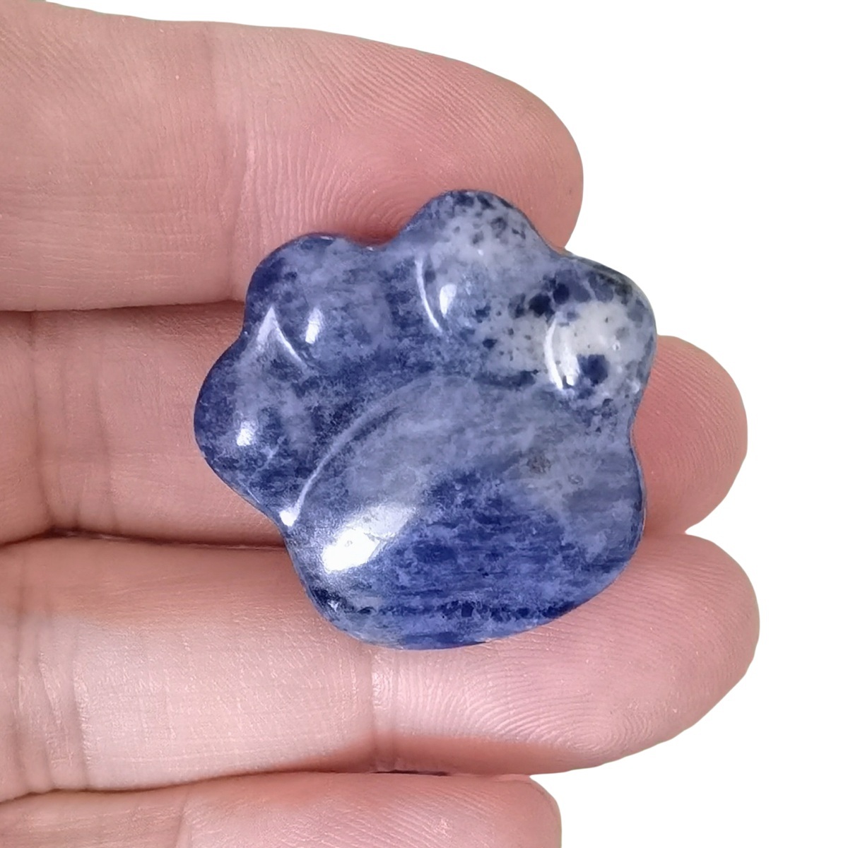 Sodalite Cat Paw Gemstone for Home Decor 28x30mm Handmade Craved Gemstone Animal Hand Claw Reiki Healing Treatment Gemstone Ornament