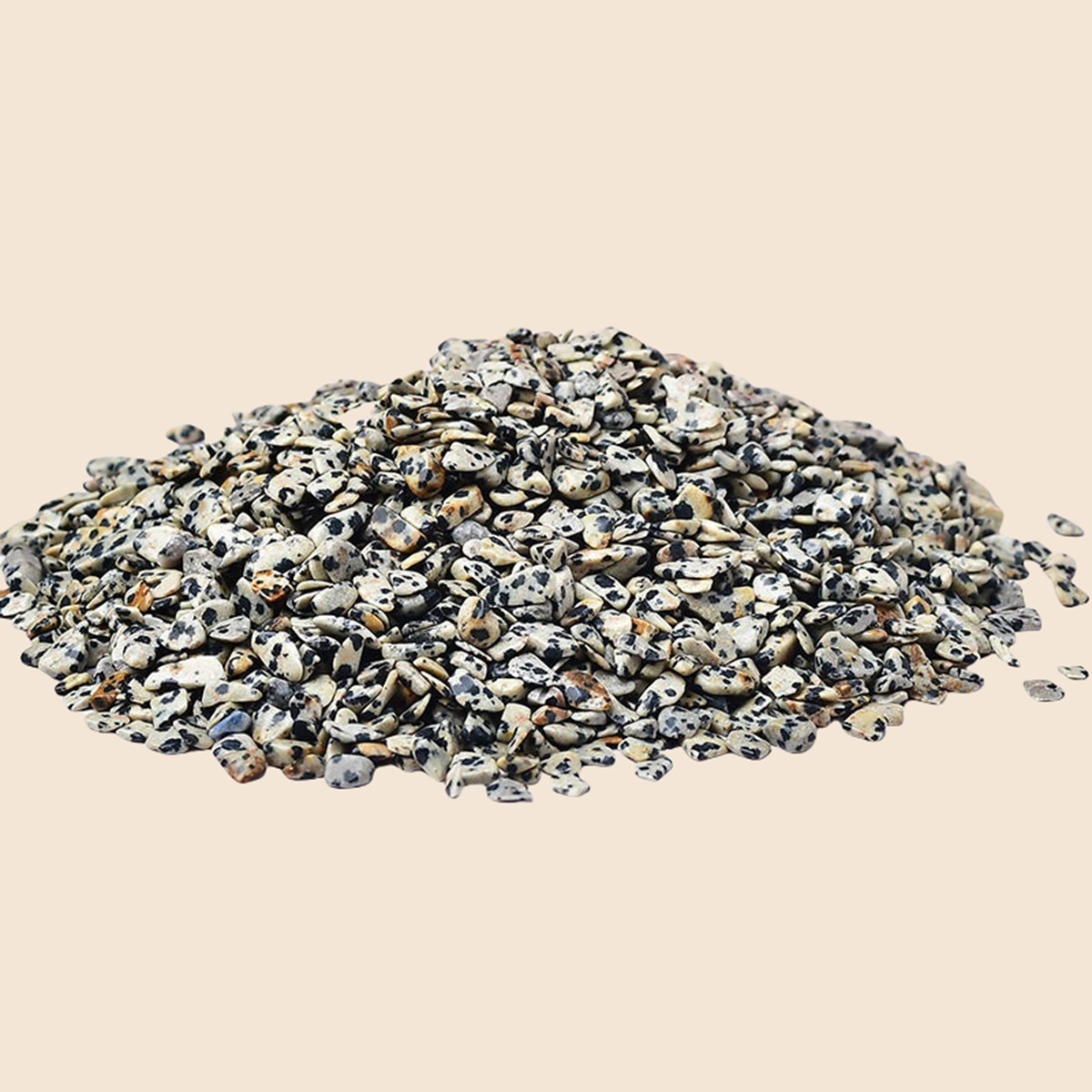 Chip Dalmation Jasper Beads for Home Decoration & Decor Making Jewelry 100Gram Crushed Irregular Tumbled Stone Pieces Beads No hole