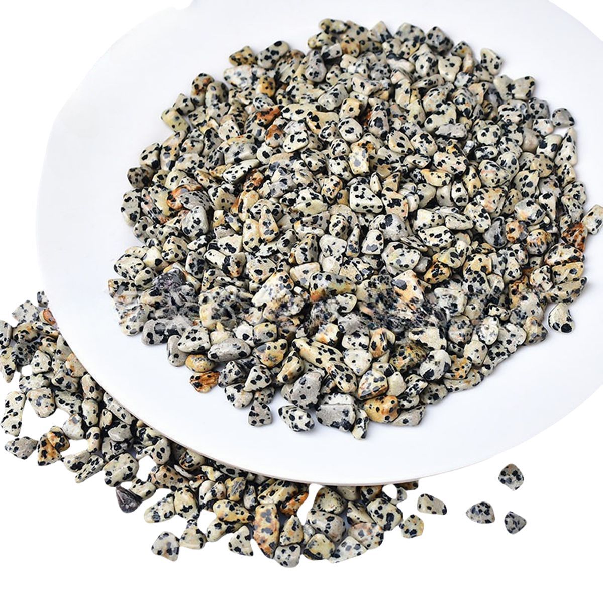 Chip Dalmation Jasper Beads for Home Decoration & Decor Making Jewelry 100Gram Crushed Irregular Tumbled Stone Pieces Beads No hole