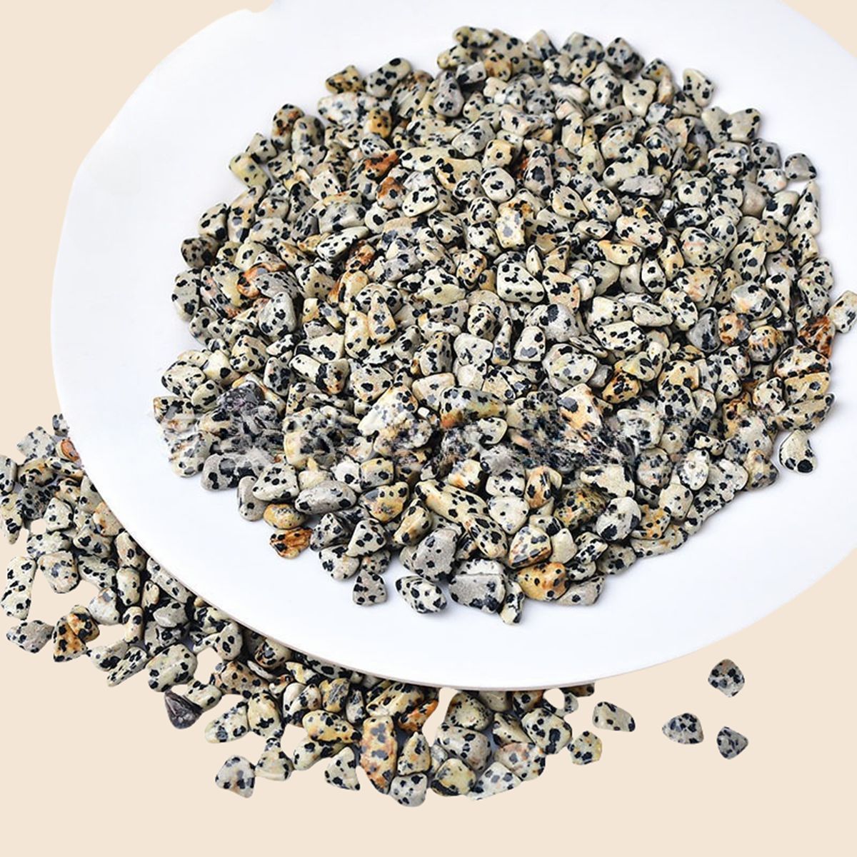 Chip Dalmation Jasper Beads for Home Decoration & Decor Making Jewelry 100Gram Crushed Irregular Tumbled Stone Pieces Beads No hole