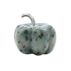 Kiwi Stone