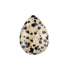 Dalmation Jasper