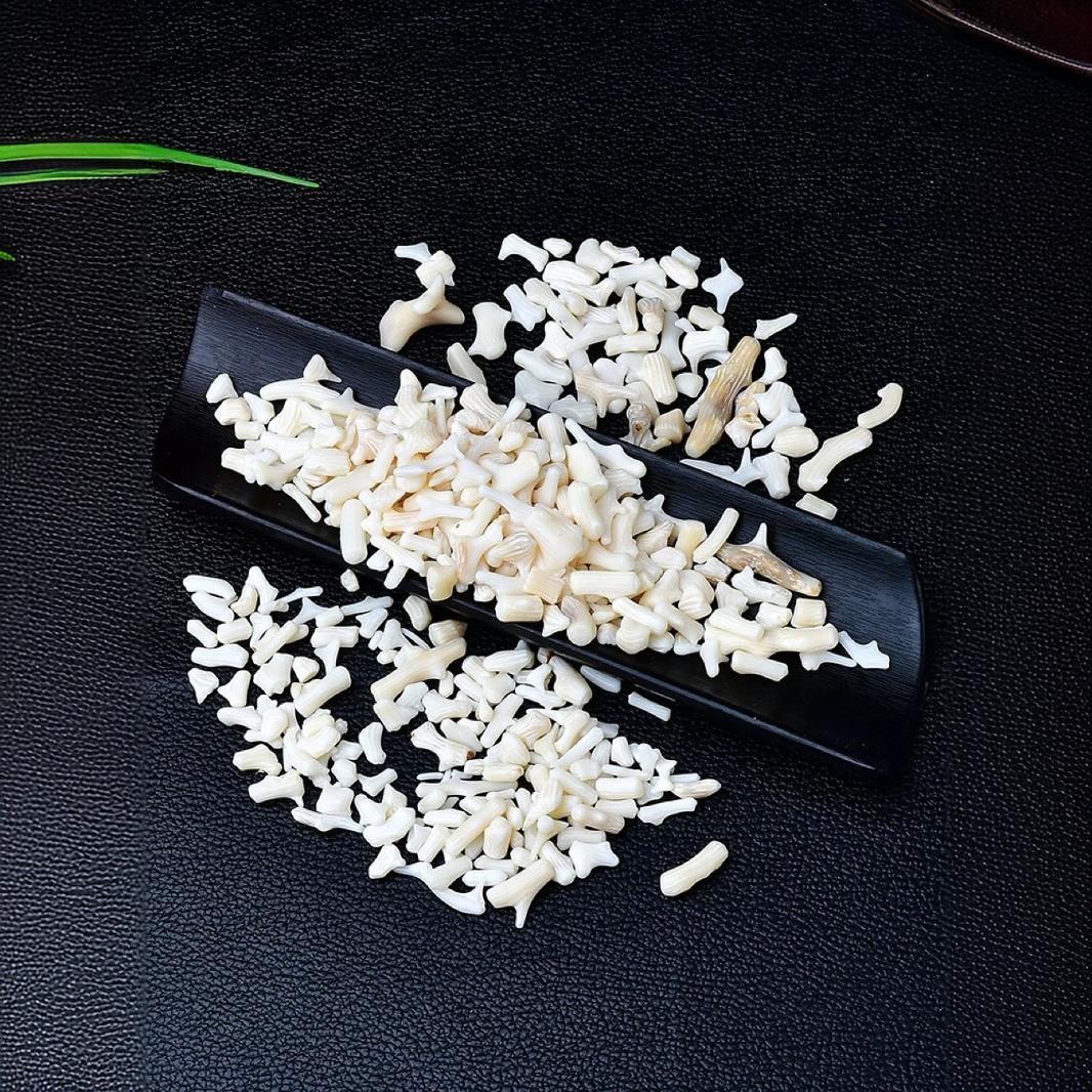 Chip White Coral Beads for Home Decoration & Decor Making Jewelry 100Gram