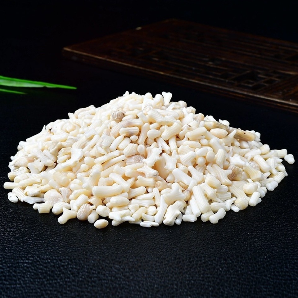 Chip White Coral Beads for Home Decoration & Decor Making Jewelry 100Gram