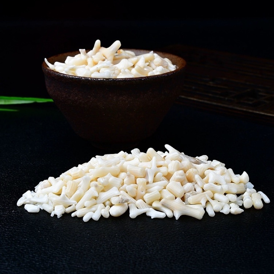 Chip White Coral Beads for Home Decoration & Decor Making Jewelry 100Gram