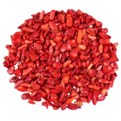 Syn. Red Coral