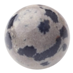Dalamation Jasper