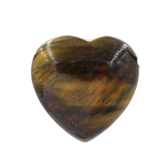 Yellow Tiger Eye